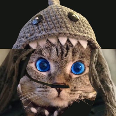 The spice has shown me visions of the future and all I can see is Sharkcat at 100 billion $SC