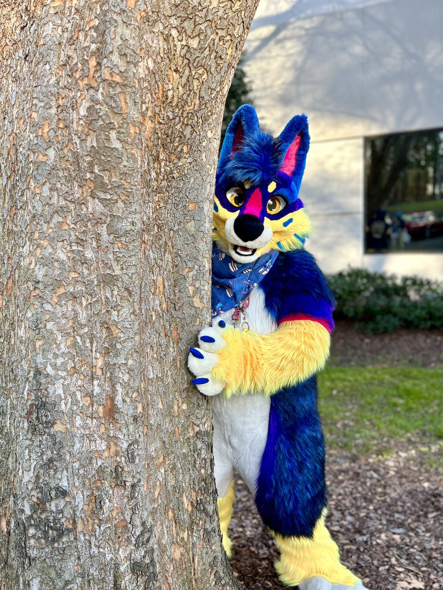 Qrt with your orange eyed suit! ( ´ ▽ ` )

🍊 🧡🍊🧡🍊🧡🍊🧡🍊🧡🍊🧡🍊