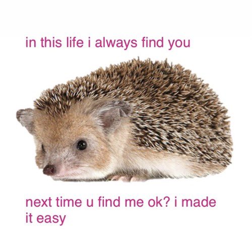 i cry over this image sometimes