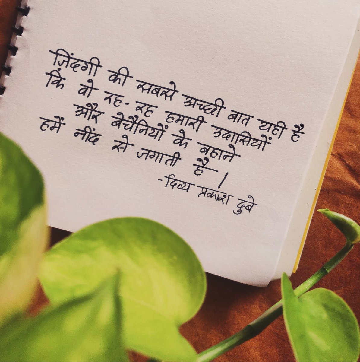 hindyugm's tweet photo. दिव्य प्रकाश दुबे
कैलीग्राफ़ी: @parichay.bhasha
#Hindyugm #NayiWaliHindi #hindibook #poetrycollection #stories #hindibooks #writerscommunit #kitab #lovesbook https://t.co/bQNpeT6v4b
