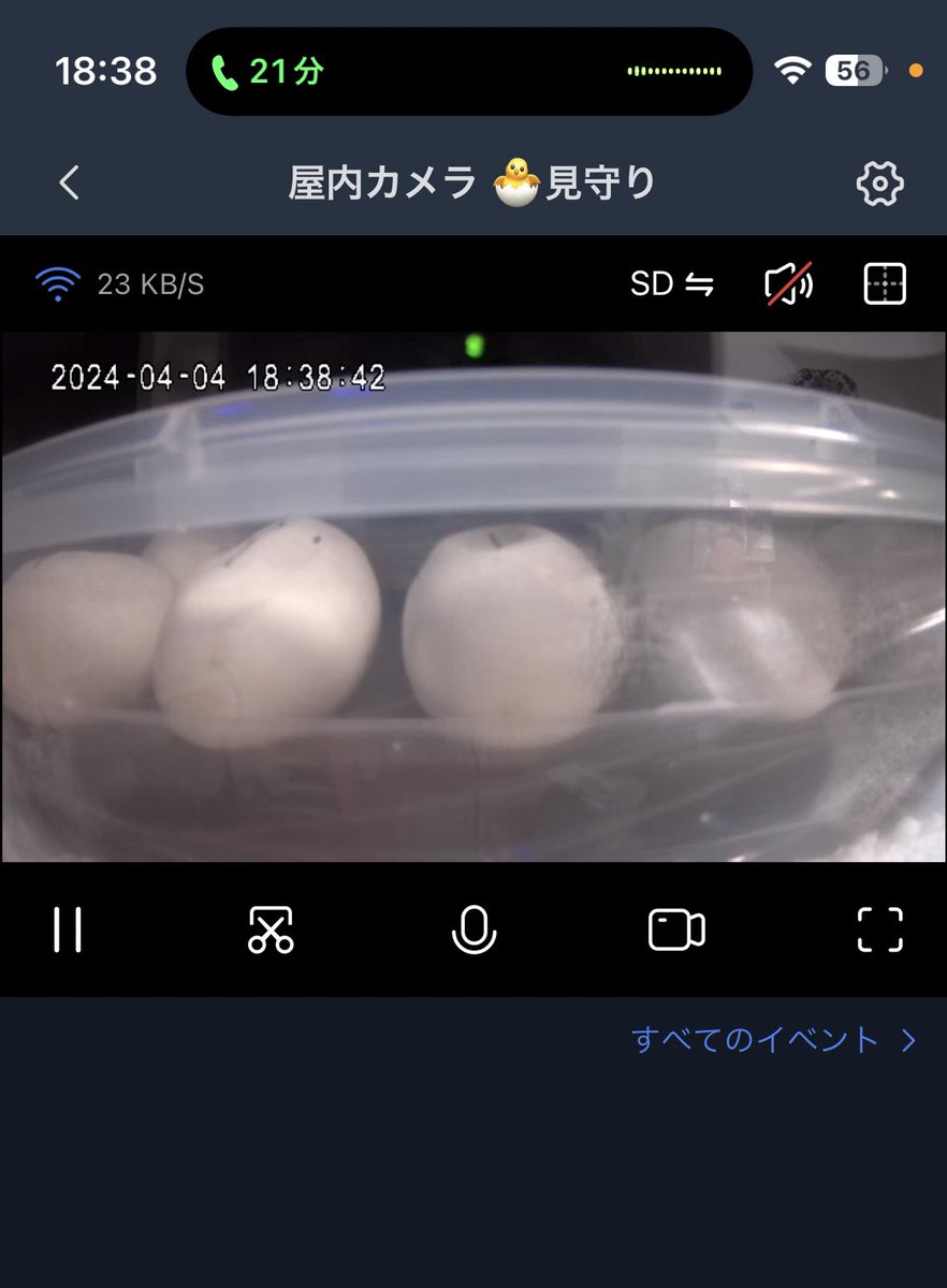 Tweet media two