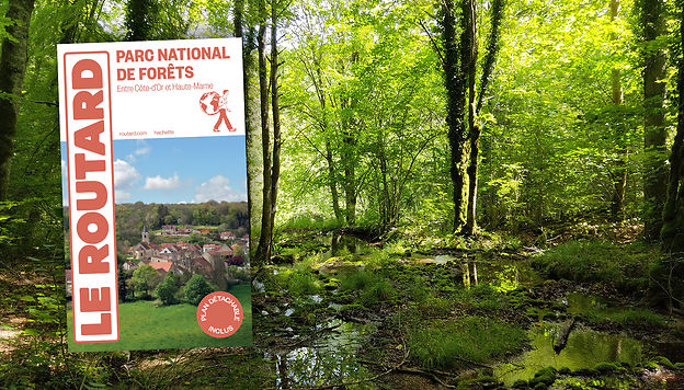 En #Bourgogne, une destination au naturel, idéale pour se mettre au vert, à découvrir avec le tout nouveau #Routard Parc national de forêts désormais en librairie. bit.ly/3PNQmjS @rmtourisme @parc_nat_forets @Hachette_France