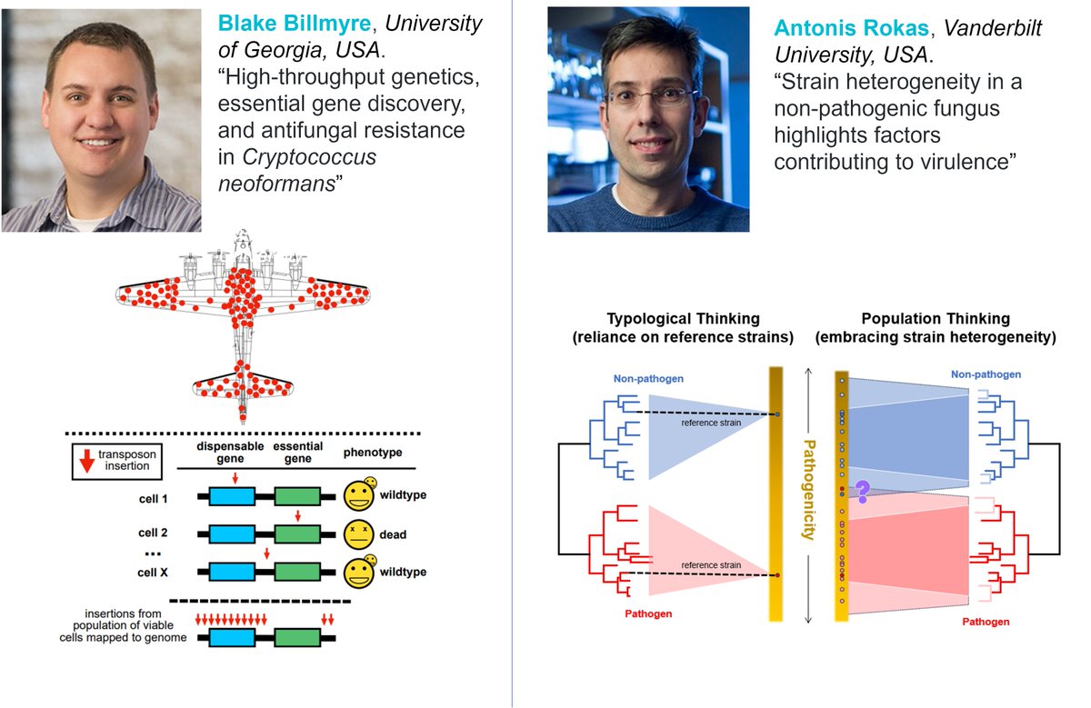 Last week's #MycoTalks with @blake_billmyre and @RokasLab now available to view on #YouTube --> youtu.be/vn2JzqtSXXo Catch up on all previous #MycoTalks on our #YouTube channel here: youtube.com/channel/UCHzWx…