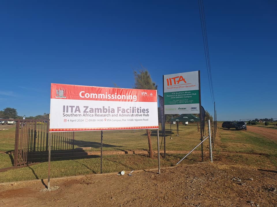 #HappeningNow @IITA_CGIAR launches #SARAH in Lusaka, Zambia, advancing agricultural innovation. Full diplomatic status granted in Zambia marks a 38-year partnership milestone. Join us! Watch Live:youtube.com/live/rIdqjSJNR… #IITAZambia #SARAHLaunch #AgriculturalInnovation 🎊🌾