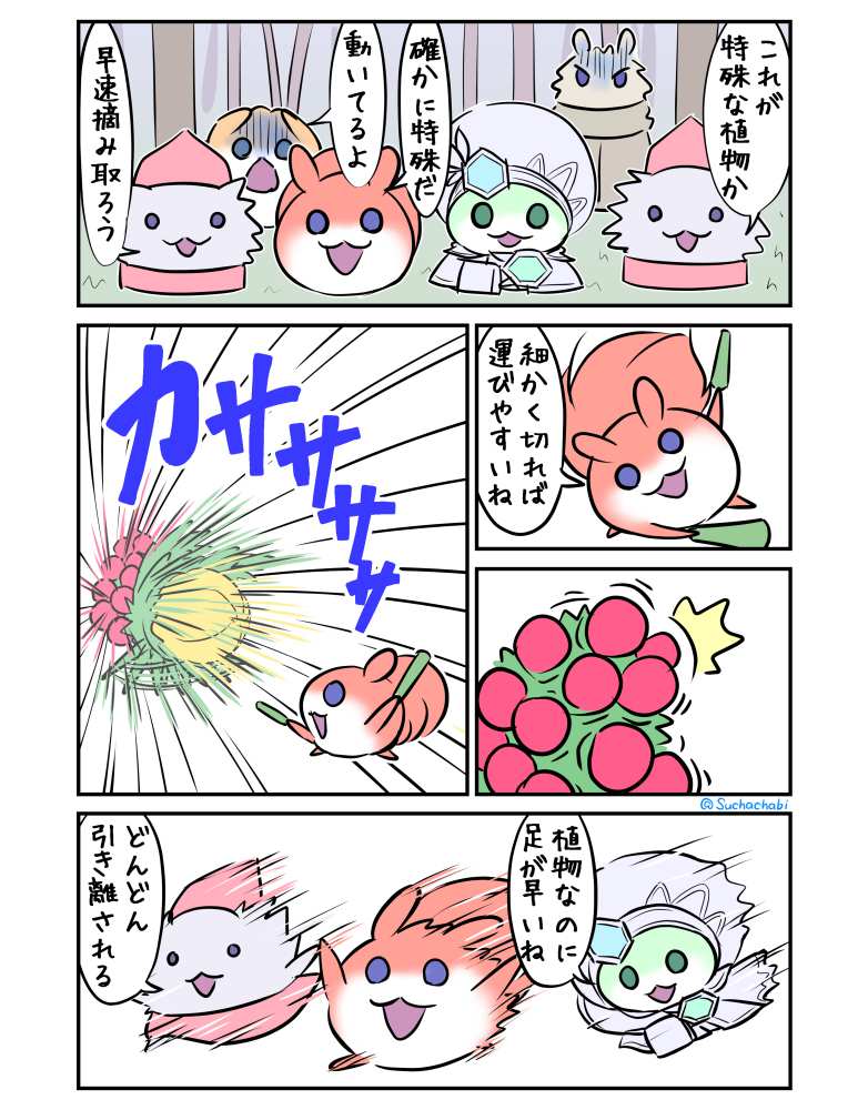 1438日目 逃げる追いかける 