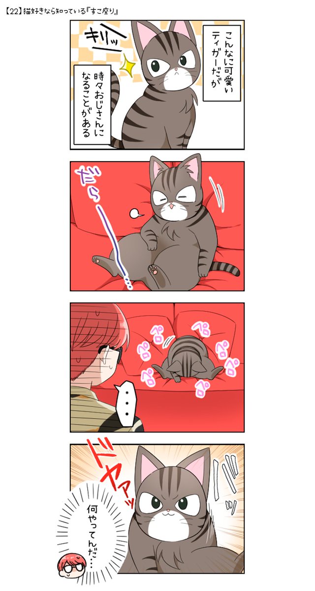 ฅ*【22】猫好きなら知っている『すこ座り』*ฅ* #にゃん生 #あつし