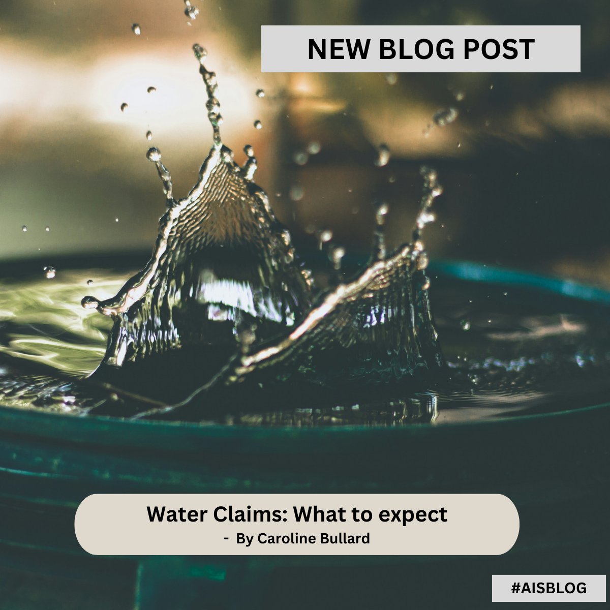AlbanwiseInsure's tweet image. #AISBlog:The consequences of a #waterleak can be far-reaching & devasting. What confuses policy holders is the coverage of their #insurance policy. So what is covered under your claim? Our claims expert, Caroline Bullard tells us more: bit.ly/4cG7SQN @sidnumber8