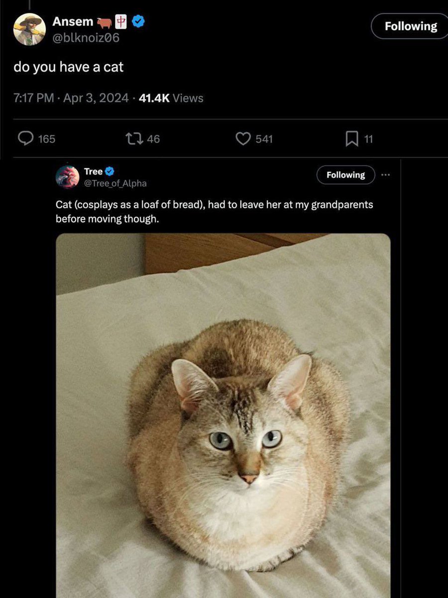 <a href="/Tree_of_Alpha/">Tree</a> Well i’m not as rich as you, so my portfolio now is only in your cat 🐱 $loaf and unfortunately the dev was a dick and screwed us up. Now it’s all community, they are doing a good job on your cat.

we loaf you 💕

t.me/LOAFCOMMUNITY

dexscreener.com/solana/bvqaw31…