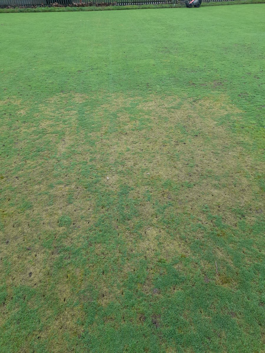Bon-y-maen bowls club tweet media
