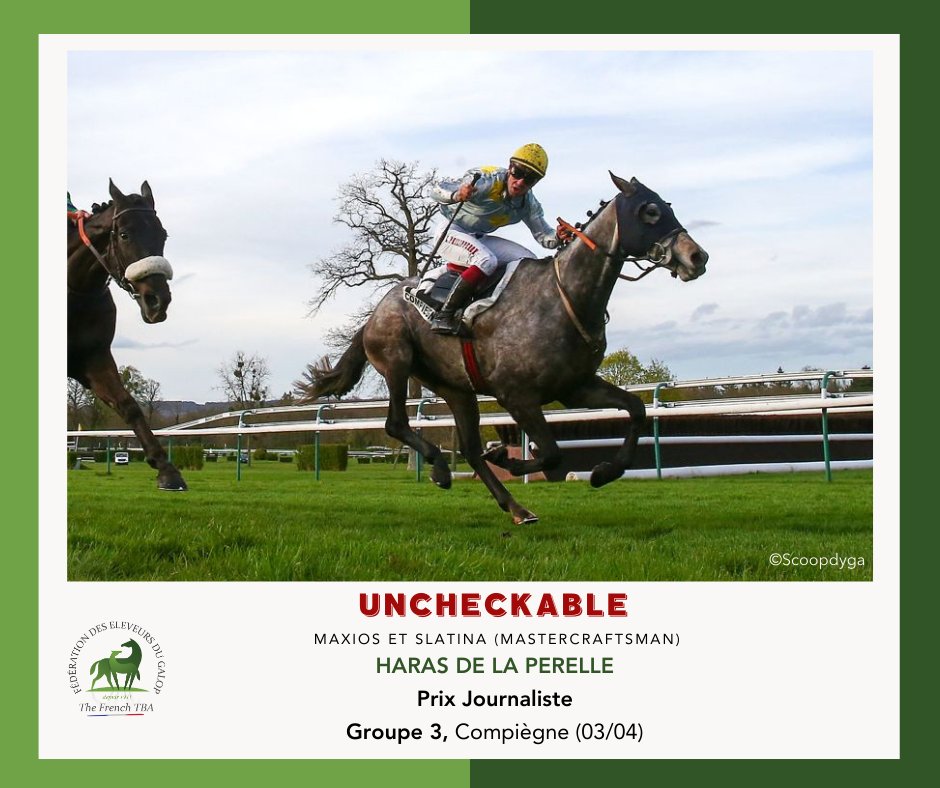 Fedeeleveurs's tweet photo. 💐Félicitations au Haras de la Perelle pour la belle victoire de UNCHECKABLE, fils de #Maxios, dans le Prix Journaliste, Groupe 3 sur l' Hippodrome de Compiègne !! 👏
#VivelElevageFrançais #BreedInFrance #guardiansofthethoroughbred #RaceAndCare https://t.co/mRvvqAYFS2
