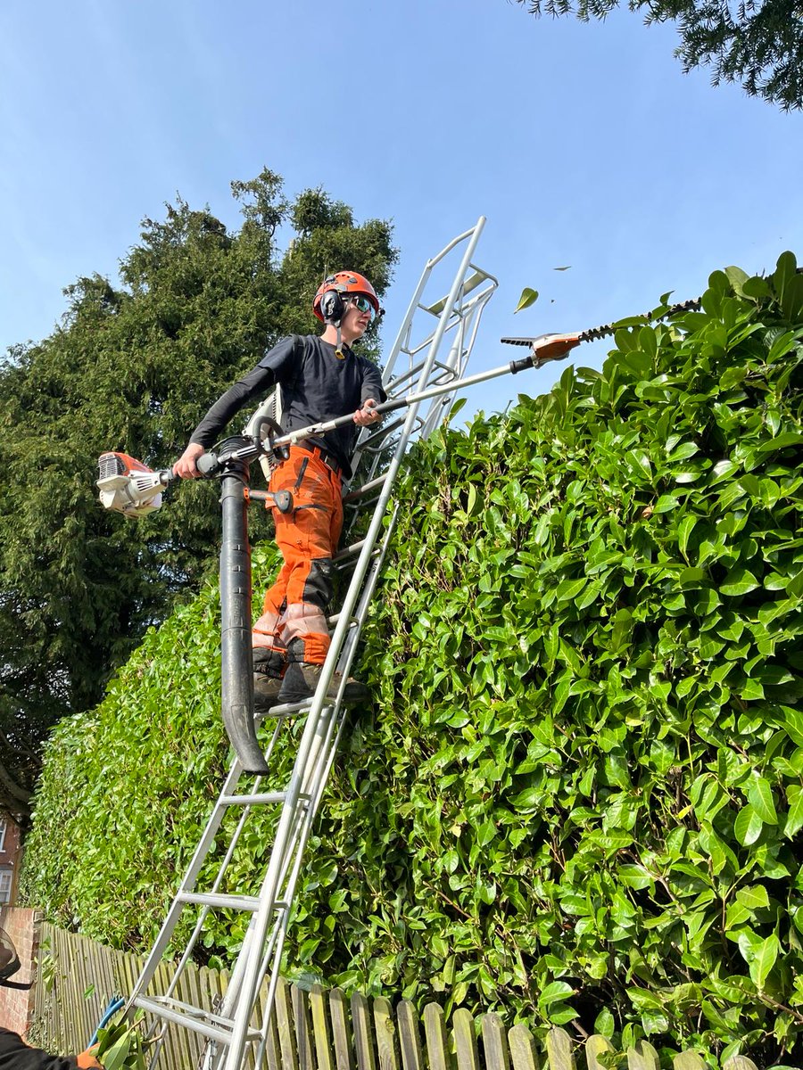 TreeProLtd's tweet image. It’s the inspector gadget of the gardening world👏

With his hedge cutter in hand and the blower on his back there’s no stopping Aston today💪