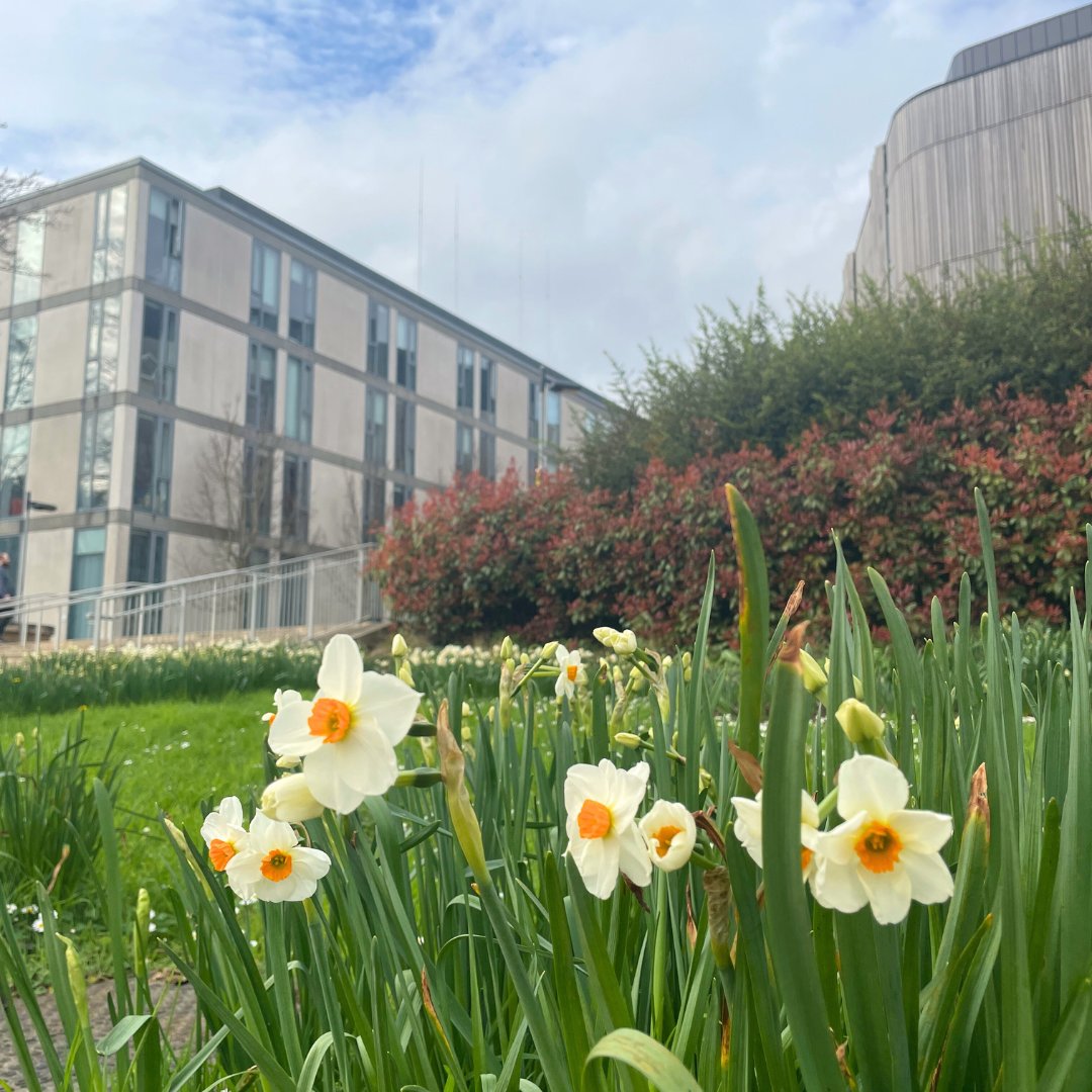 Sunny days on campus are our favourite! ☀️ Do you agree?