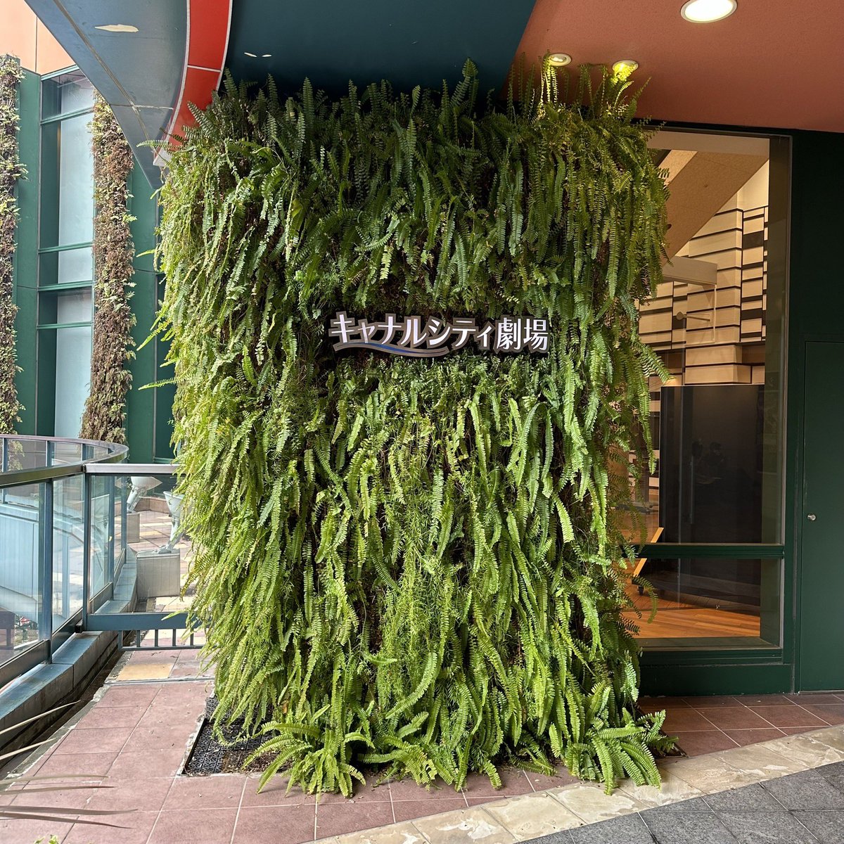 歌舞伎 中村屋 のれん 七之助さんからのメッセージです🍜 #中村七之助 #ラジのすけ #中村勘