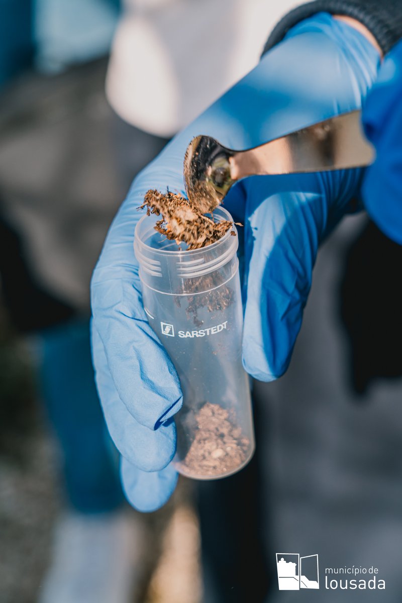 #BGE news from Portugal!🇵🇹 Our @CIBIO_InBIO colleagues organised the school activity 'The Secret of Vilar Forest DNA' in Mata de Vilar, Portugal. Students acted as researchers, exploring the forest for its #geneticcode and discovering the biodiversity using eDNA. @REA_research