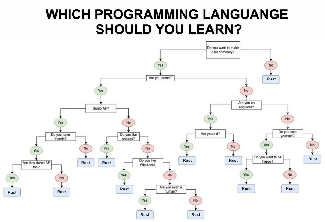 Which language should you learn in 2024?