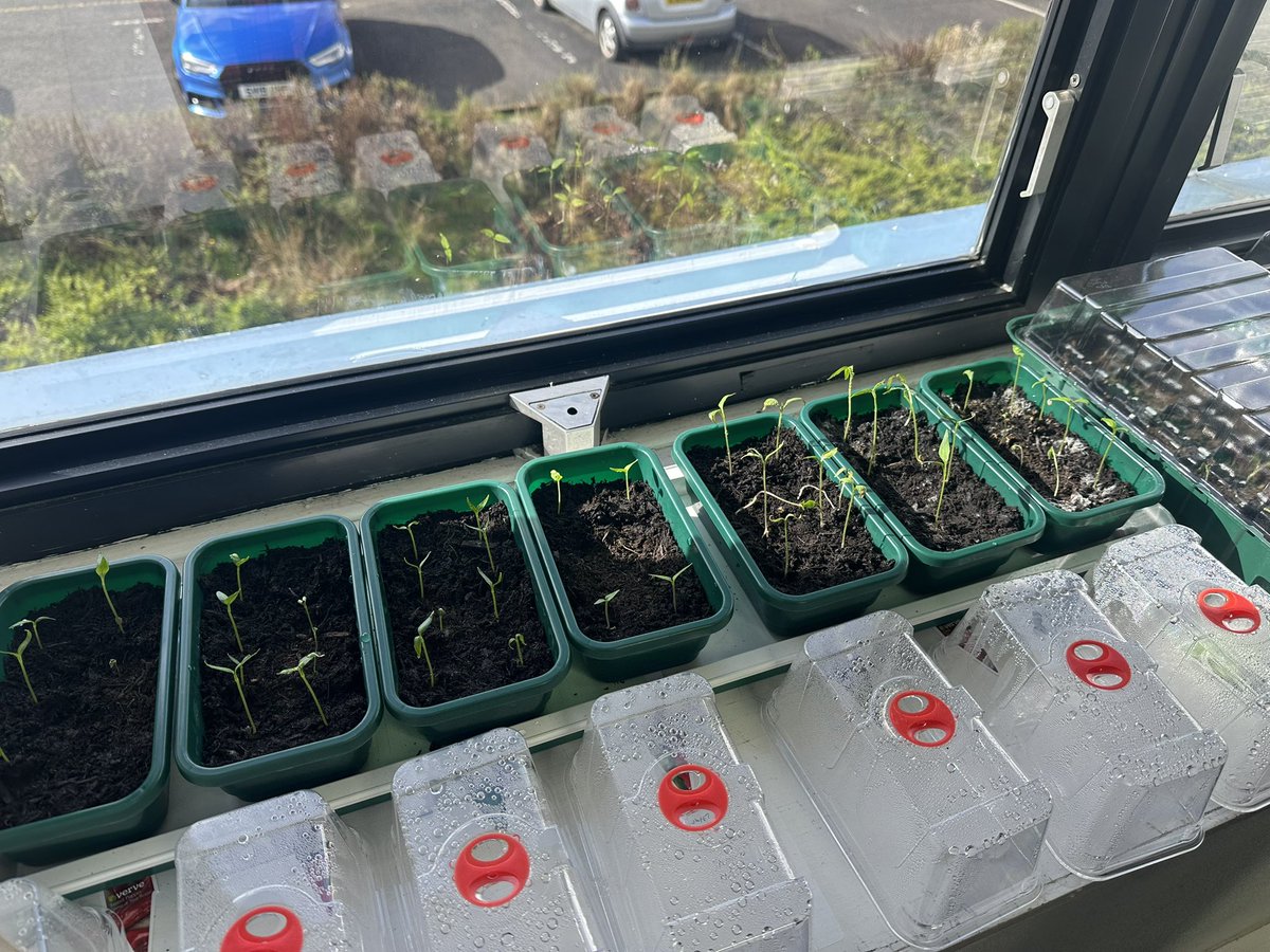 The UPAC Group tweet media