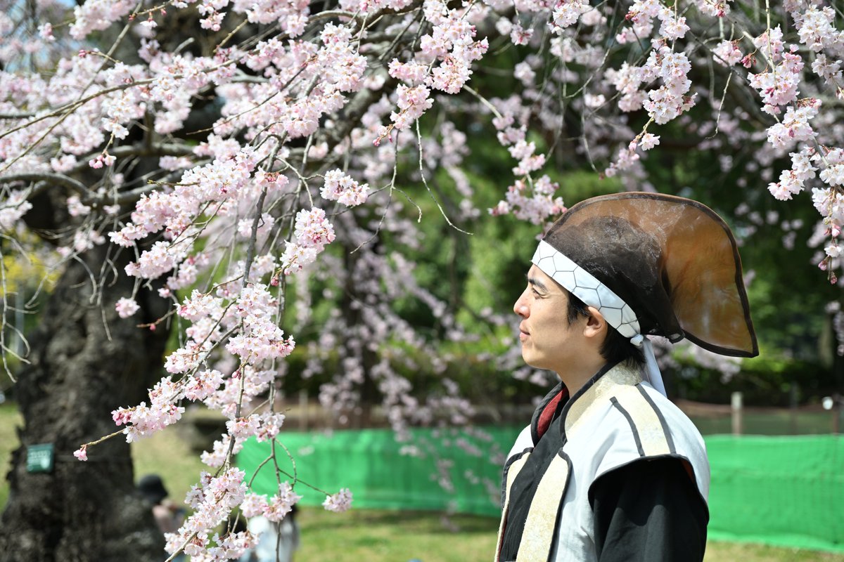 お仕事を休んで推し事してきた！
片倉親子の街歩きツアー「仙台の桜をともに愛でようぞ！」で榴岡天満宮、徳泉寺、榴岡公園の桜を見てきました。眼福眼福