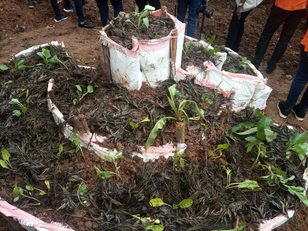 NycRutsiro's tweet photo. #Hehenigwingira Ku bufatanye n'abafatanyabikorwa  ba @RutsiroDistrict batandukanye barangajwe imbere na @WVRwanda Tunga Cluster, twatangije gahunda yiswe "Professional" #Umuganda y'amezi 6. Igamije guca burundu imirire mibi mu karere. @RwandaLocalGov @Rwanda_Child @jnabdallah https://t.co/BDmqVC7fqR