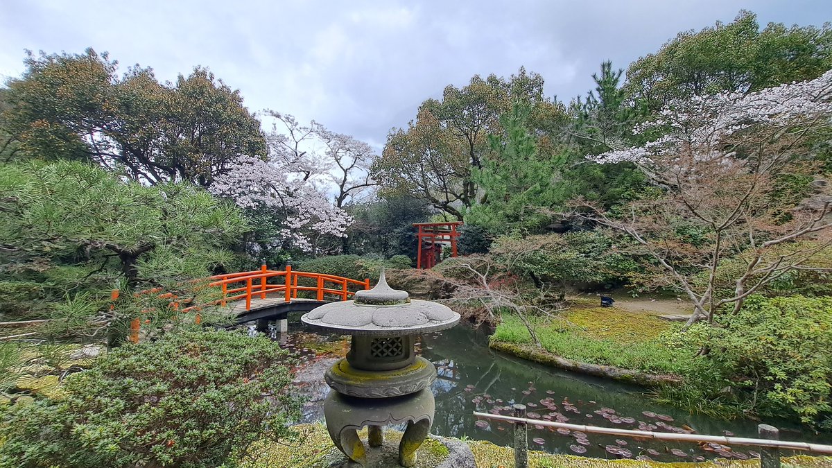 Exhausted. April is by far the busiest time of year for me, with 99% of ryokan guests coming from Europe or America. 12 hour shifts covering everything from room cleaning to kaiseki serving to guiding. Pretty nice view, though.