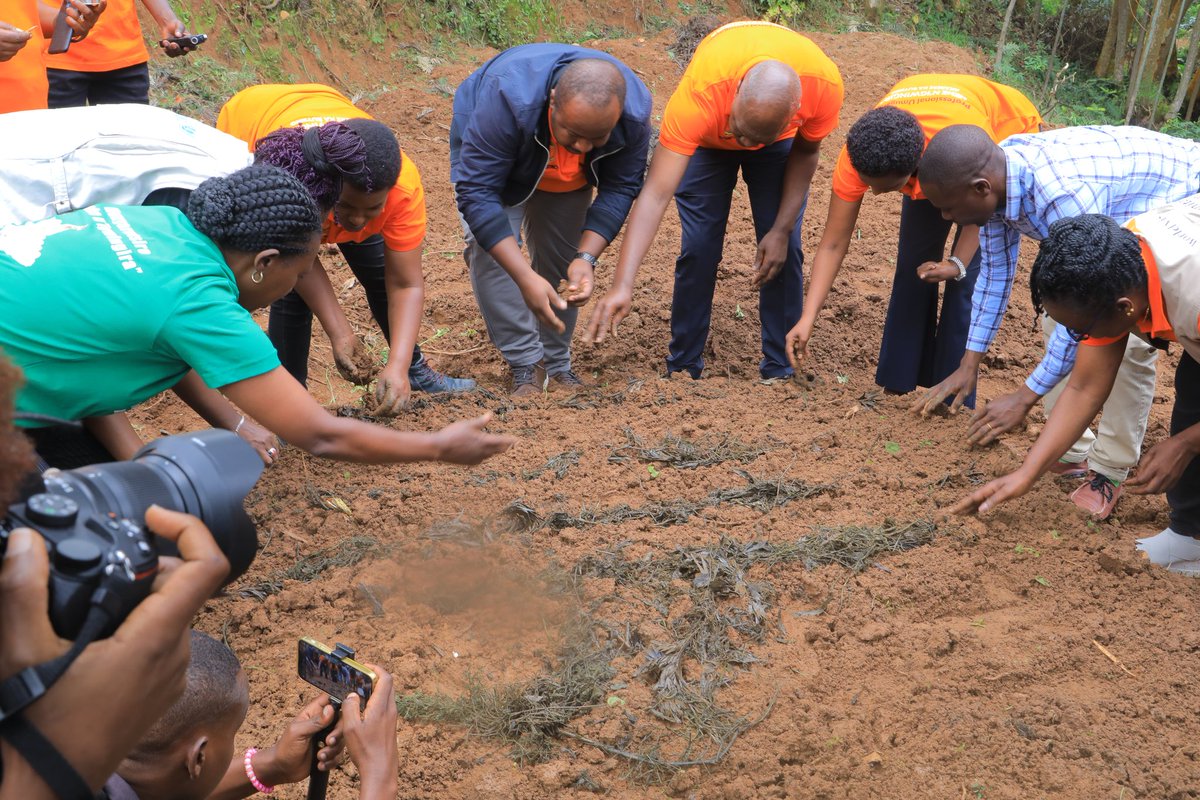 RutsiroDistrict's tweet photo. Igikorwa cyabereye mu mirenge yose aho cyatangirijwe ku rwego rw'Akarere mu murenge wa Ruhango kiyobowe na Guverineri wa @RwandaWest  Bwana Dushimimana Lambert. 
Igikorwa cyatangijwe no guhinga no gutera imboga mu mirima y'igikoni ku kigo nderabuzima cya Kayove. https://t.co/KJOFDXur4p