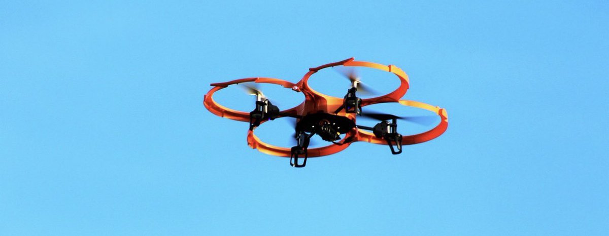 Feel Safe 🦁 tweet media