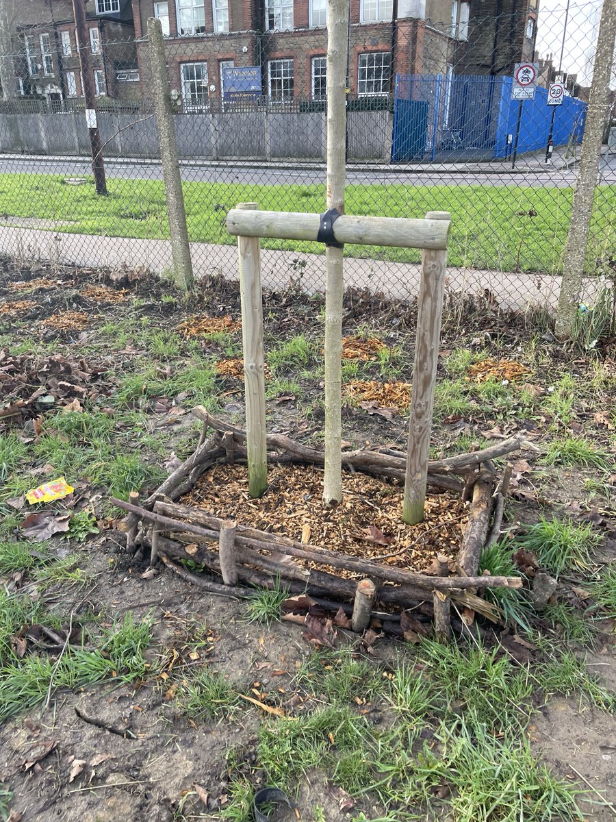 LondonPS_CP's tweet image. At Roots4Life over the last few months London CP have planted some new saplings and re-mulched some existing young trees, giving them the best possible chance of surviving and becoming established for future users of the site to enjoy. #CommunityPayback