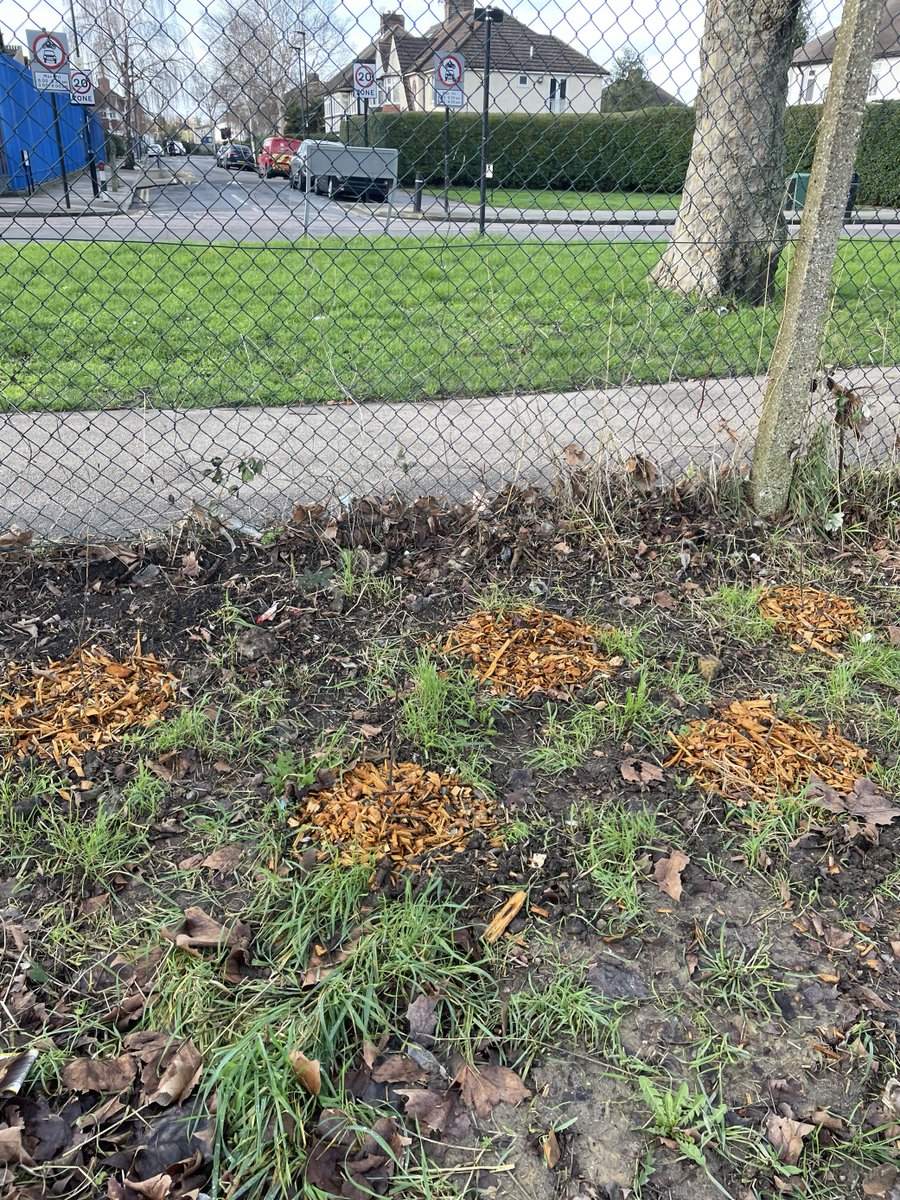 LondonPS_CP's tweet image. At Roots4Life over the last few months London CP have planted some new saplings and re-mulched some existing young trees, giving them the best possible chance of surviving and becoming established for future users of the site to enjoy. #CommunityPayback