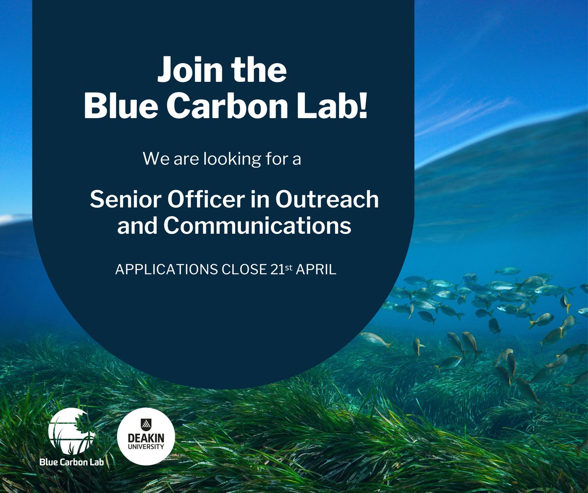 📣 We are hiring! Applications now open for our Senior #Scicomms position. Join our team and help our science have impact, we’d love to hear from you! Applications close Sunday 21st April. 🔗careers.deakin.edu.au/cw/en/job/5504… #BlueCarbon #ScienceCommunication #JobOpportunity