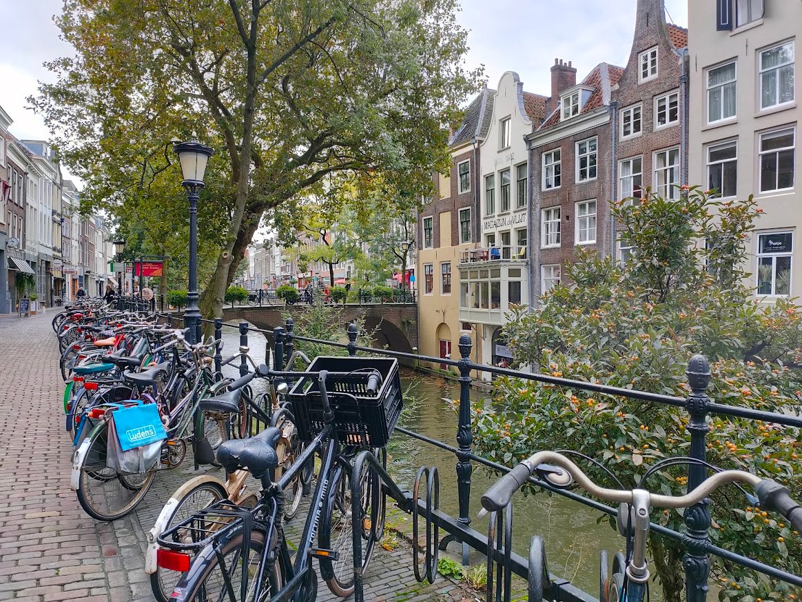 The quality of life in the Netherlands is great (I've experienced it as a part time professor @UUBeta). Dutch isn't essential for this role so even if you don't have current links to NL do consider applying. #TuesdayswithTeamCounterfactual @idoimpact werkenbij.wwf.nl/vacatures/impa…