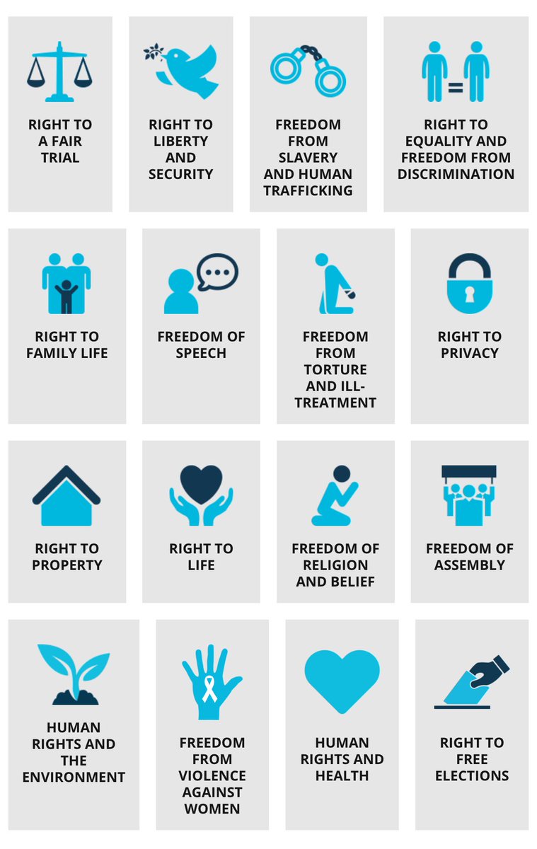 Here are all the protections we'd be giving up by leaving the ECHR. Are people really saying we'd be better off without these rights? Seems grimly feudal, or the kind of thing North Korea would revel in... coe.int/en/web/impact-…