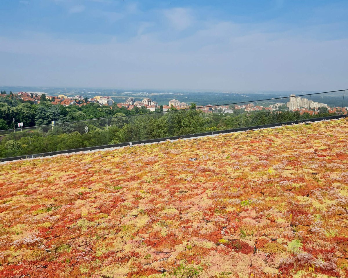 The project 'Path to successful decarbonization through green cassette roofs' will be presented in the 29th international horticulture fair on the 5th of April at 1 pm See you on Friday - Hall 2A Booth 2202