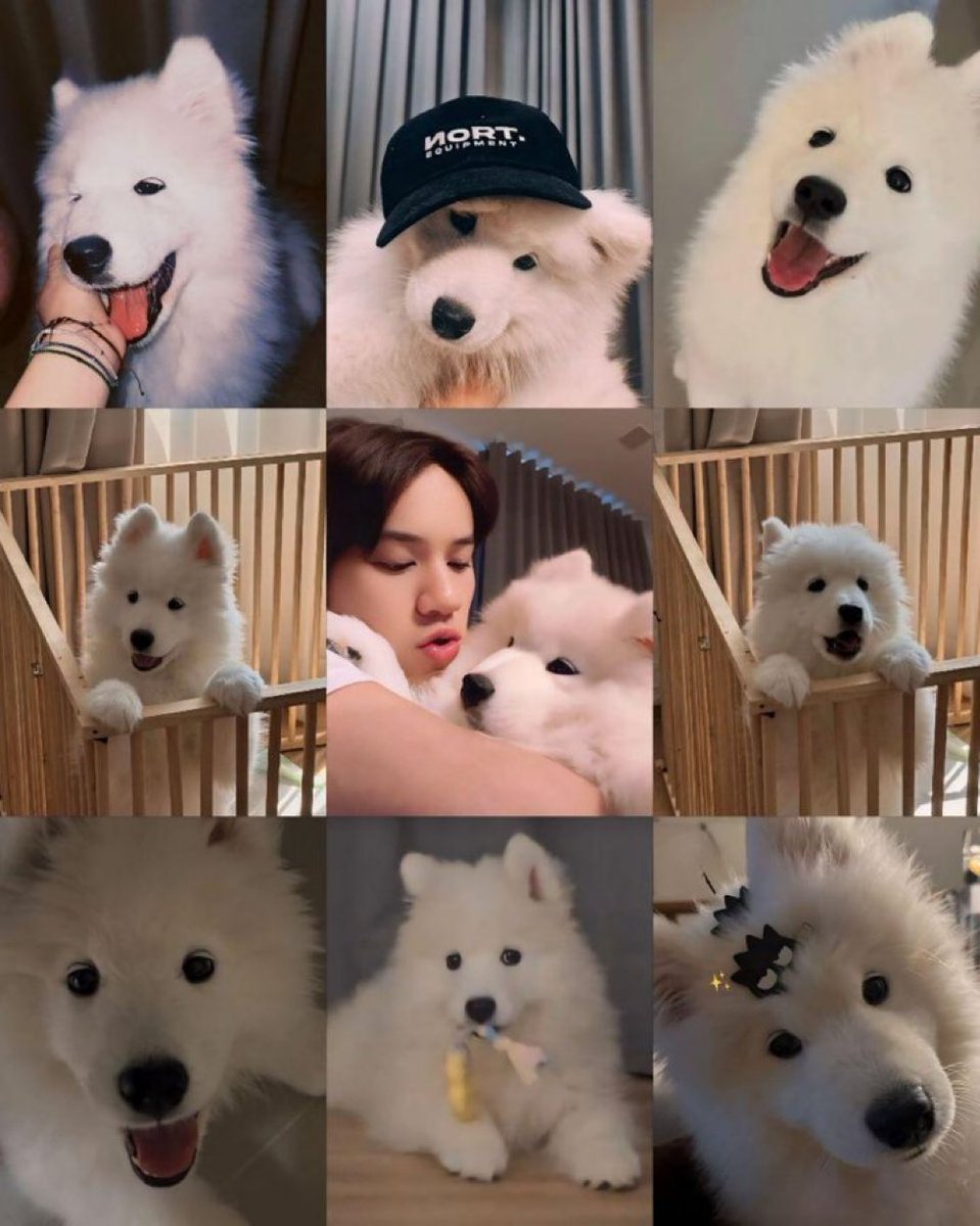 นูน่าคนสวยของป่าป๊า ป่าป๊าหวงแนะๆ