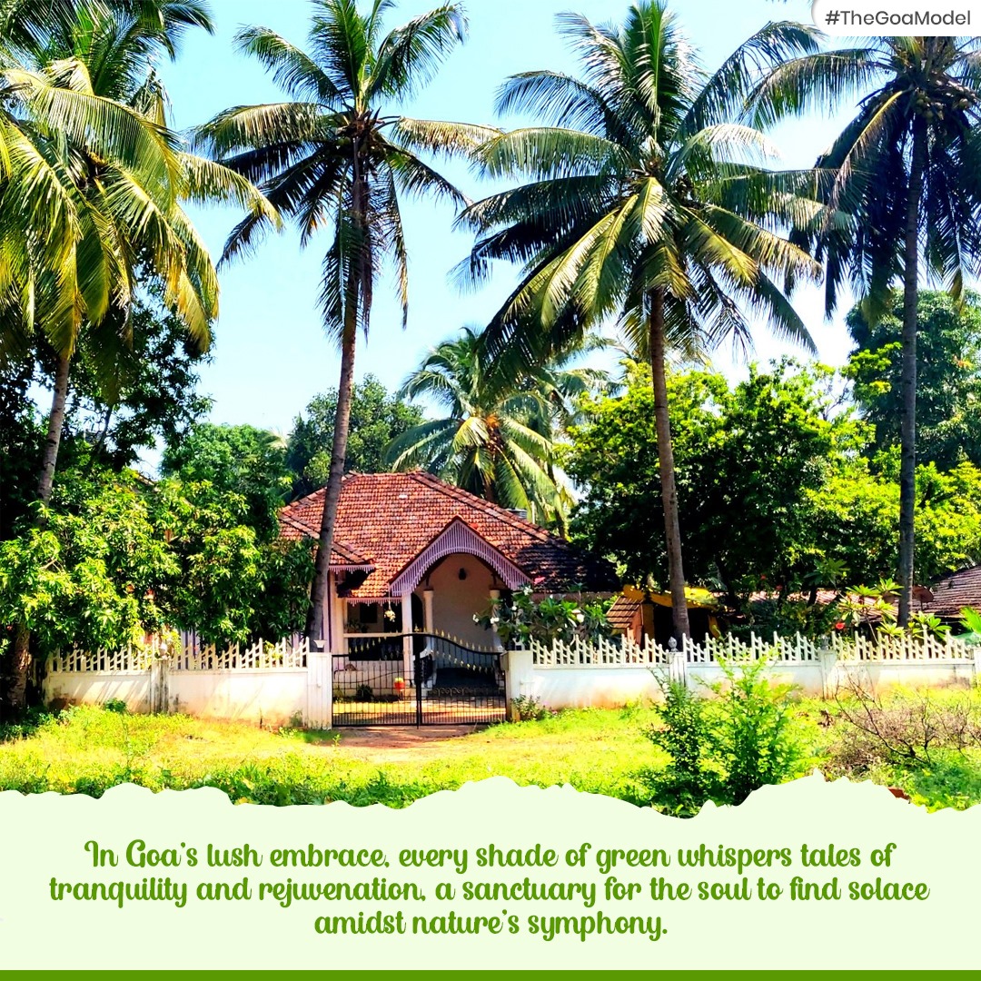 In Goa's lush embrace, every shade of green whispers tales of tranquility and rejuvenation, a sanctuary for the soul to find solace amidst nature's symphony.
#TheGoaModel
#GoaNature #LushGreenery #Tranquility #NatureSanctuary #SoulfulRetreat #NatureSymphony  #NaturalBeauty