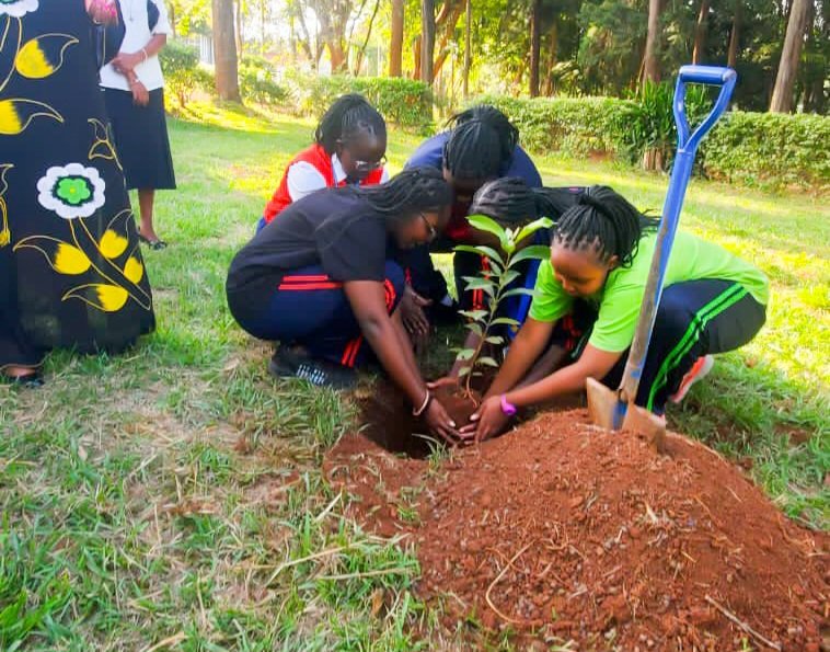 Inspiring Young Leaders & Changemakers!! Rotary is dedicated to fostering the next generation of leaders through the Interact clubs ( made of students in high schools & primary schools 12-18years) with a focus on leadership development, community service, personal growth...