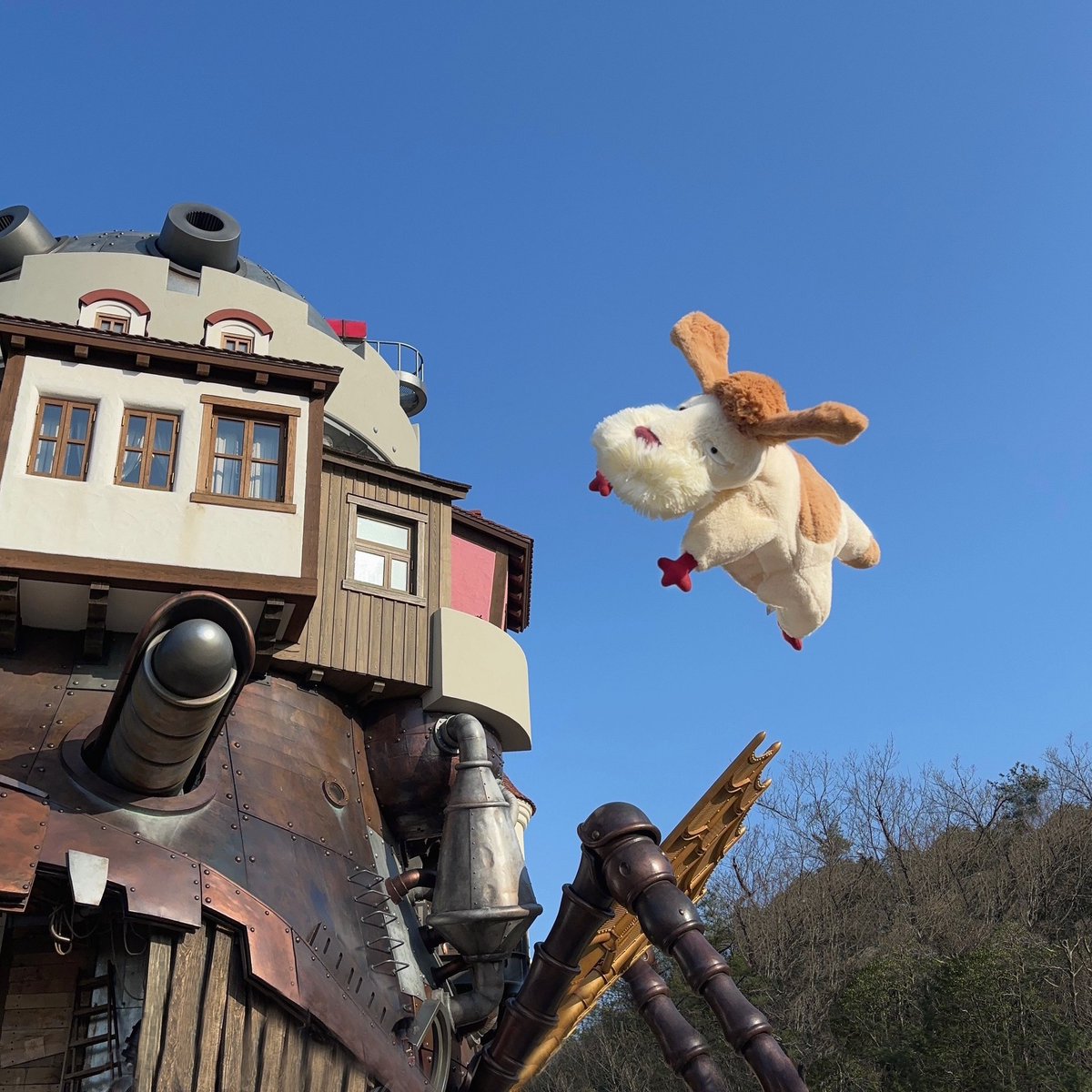 宙に投げて連写すると飛ぶよ❗️ #ジブリパーク #ハウルの動く城 #ヒン