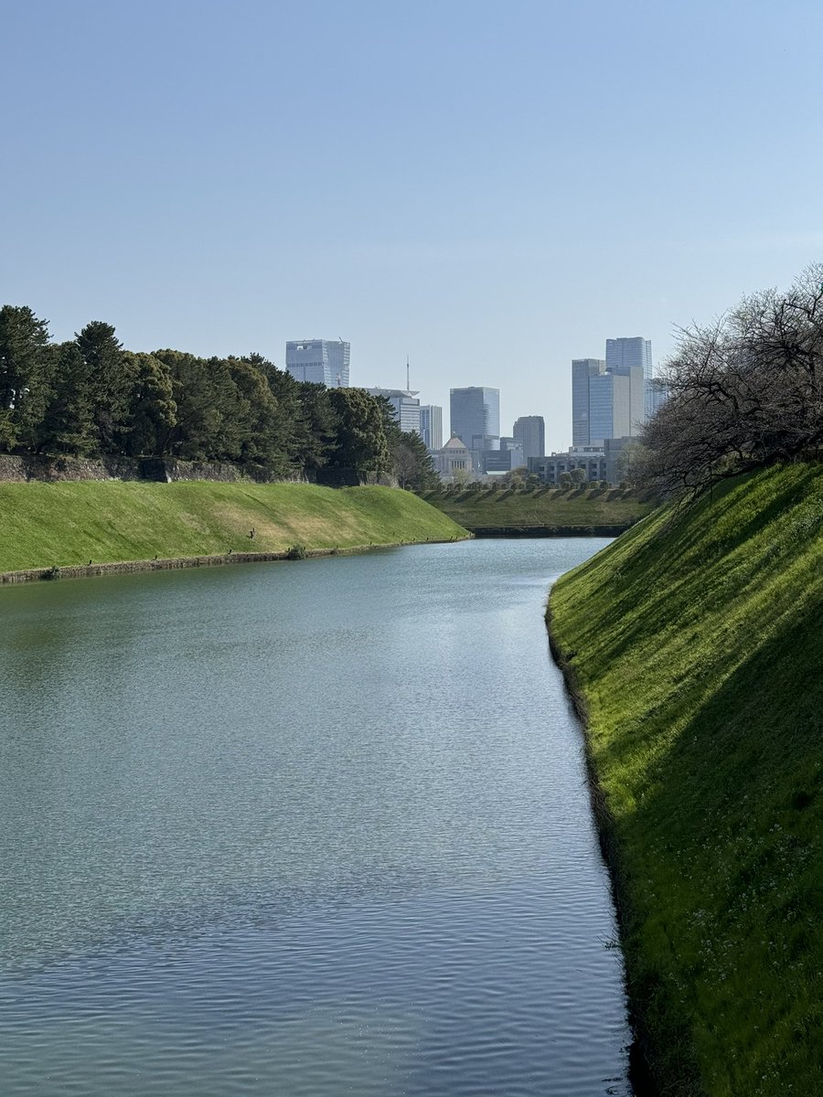 tastingisland's tweet photo. A beautiful day in Tokyo 🌸

#sakura #tokyo #spring #springtime #springbreak #chiyoda #chiyodaku #sakura🌸 #cherryblossom #tokyosakura #imperialpalace #imperialpalacetokyo #eastgardens #nationalpark #tokyostation #streetsoftokyo #tokyostreets https://t.co/TAVoWPggmF