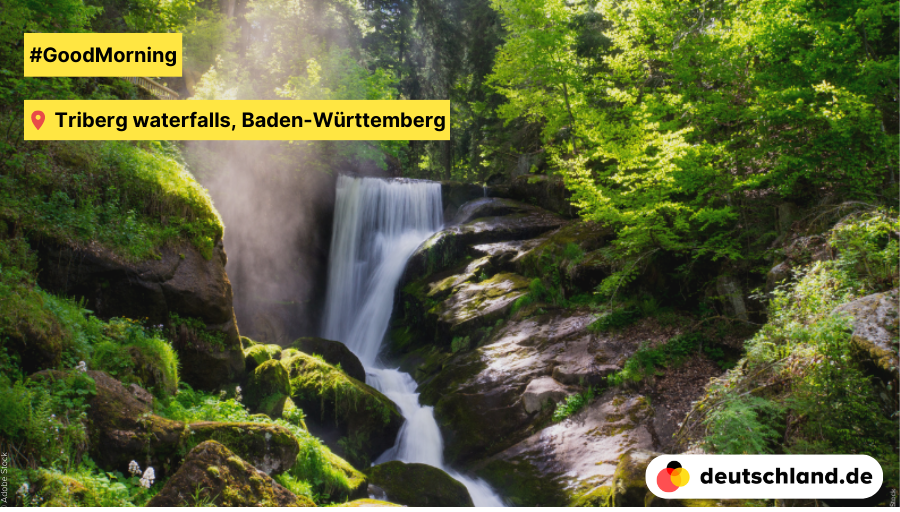 🌅 #GoodMorning from the Black Forest, from the Triberg waterfalls. ❓ 💦 Did you know that these waterfalls are the highest in Germany? The water falls a whole 163 meters along 7 steps. #PictureOfTheDay #BlackForest #waterfall