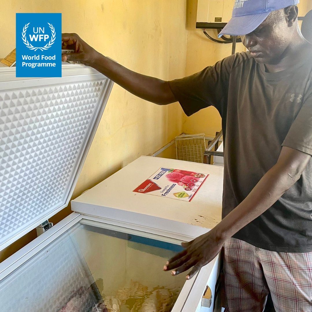 How do we build resilience and improve food security? WFP supports smallholder farmers in accessing markets, agricultural inputs, credit, and technologies. 🐟In #Kenya, @WFP is developing the fresh fish value chain and market access in Turkana.