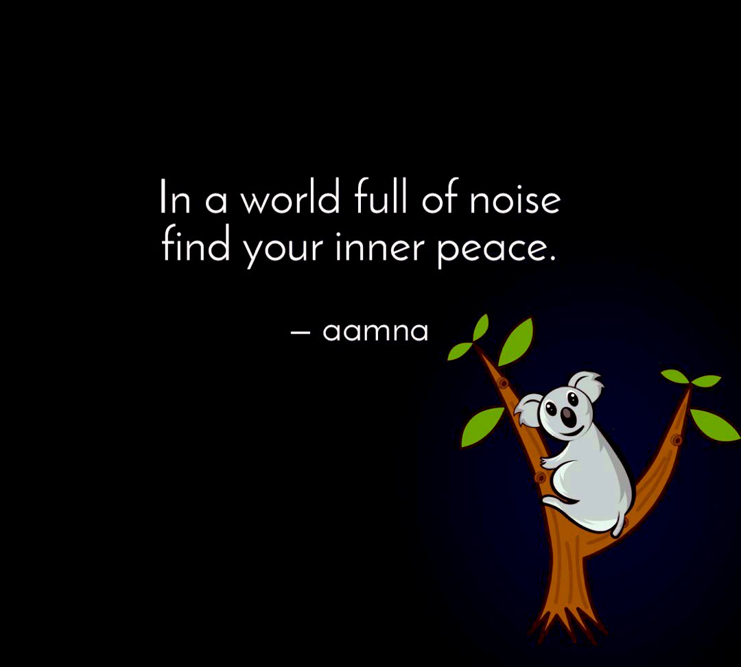 In a world full of noise
find your inner peace
#singhaamna 
#Mindful