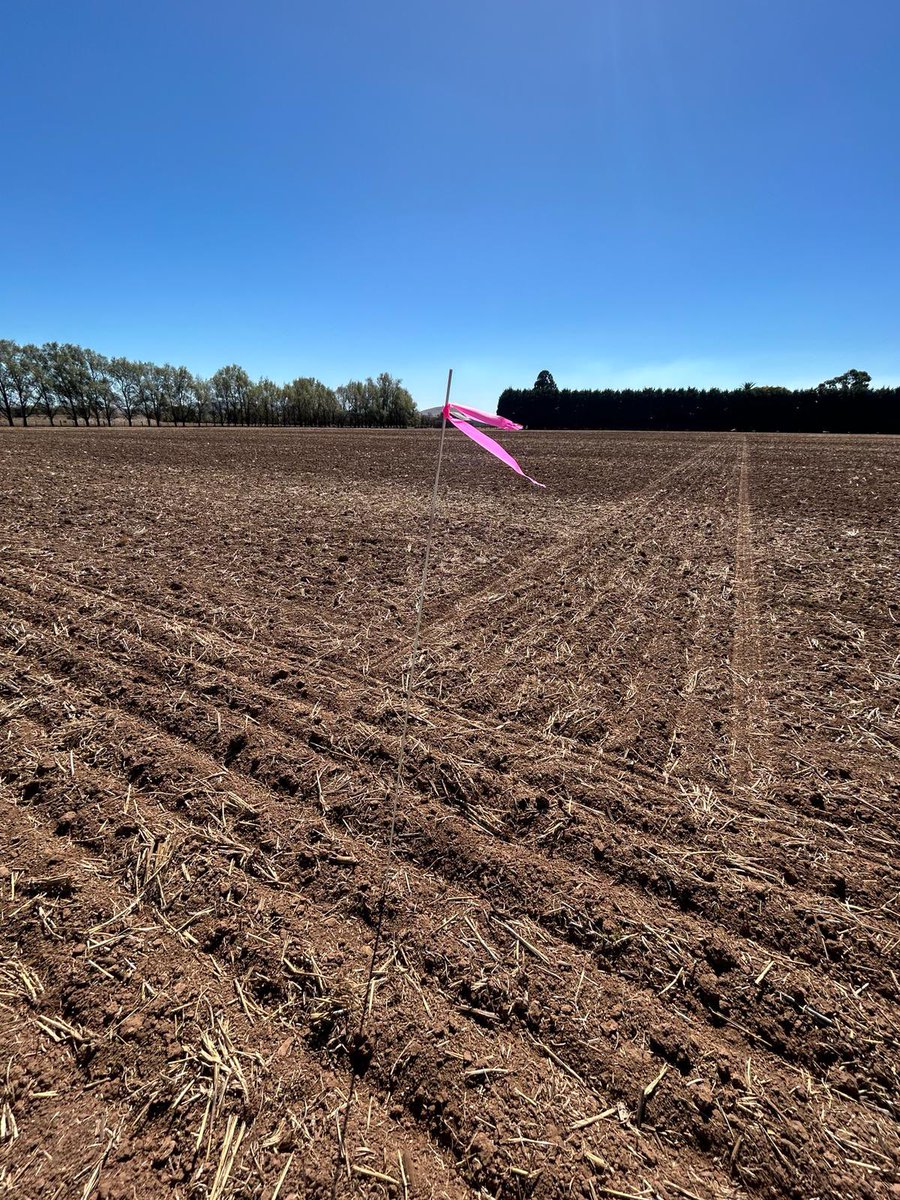 2024 Altora Ag Trial Site has been sown. Two different geographical sites replicated focusing on nutrition and herbicides.