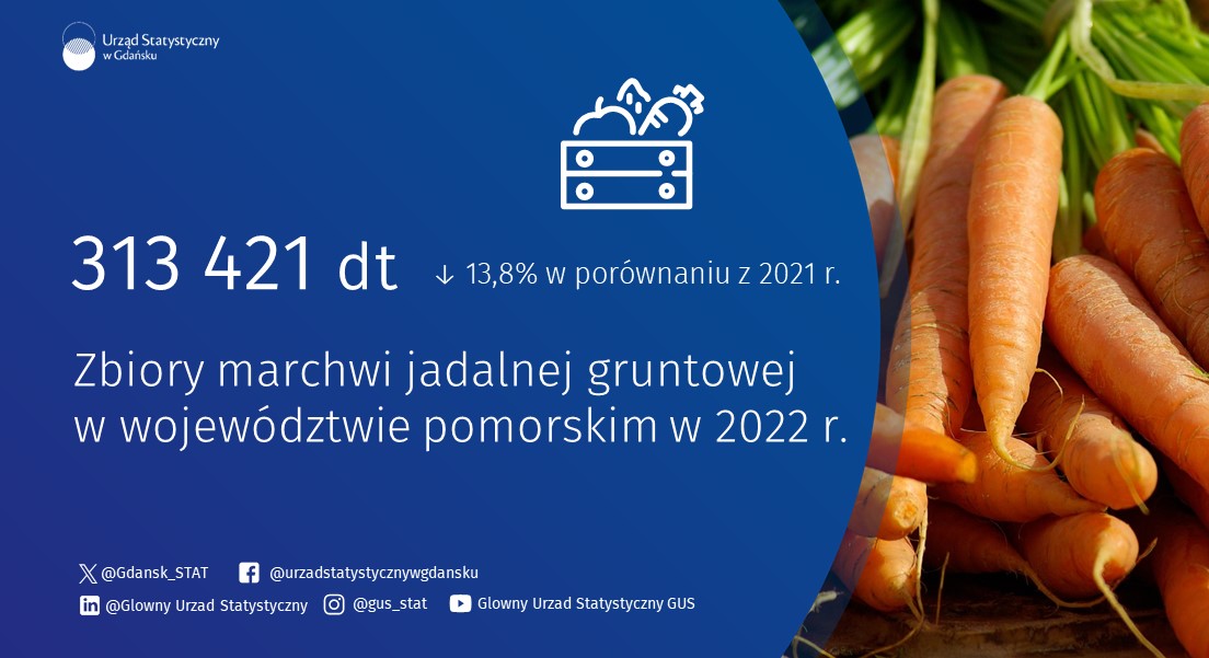 Gdansk_STAT's tweet image. Dzisiaj pijemy sok i jemy ciasto marchewkowe. Może być też marchewka na surowo, gdyż jest niezwykle bogata w wartości odżywcze. 
Sprawdź dane dot. #marchew w #pomorskie.

Dzisiaj obchodzimy Dzień Marchewki 🥕🥕🥕