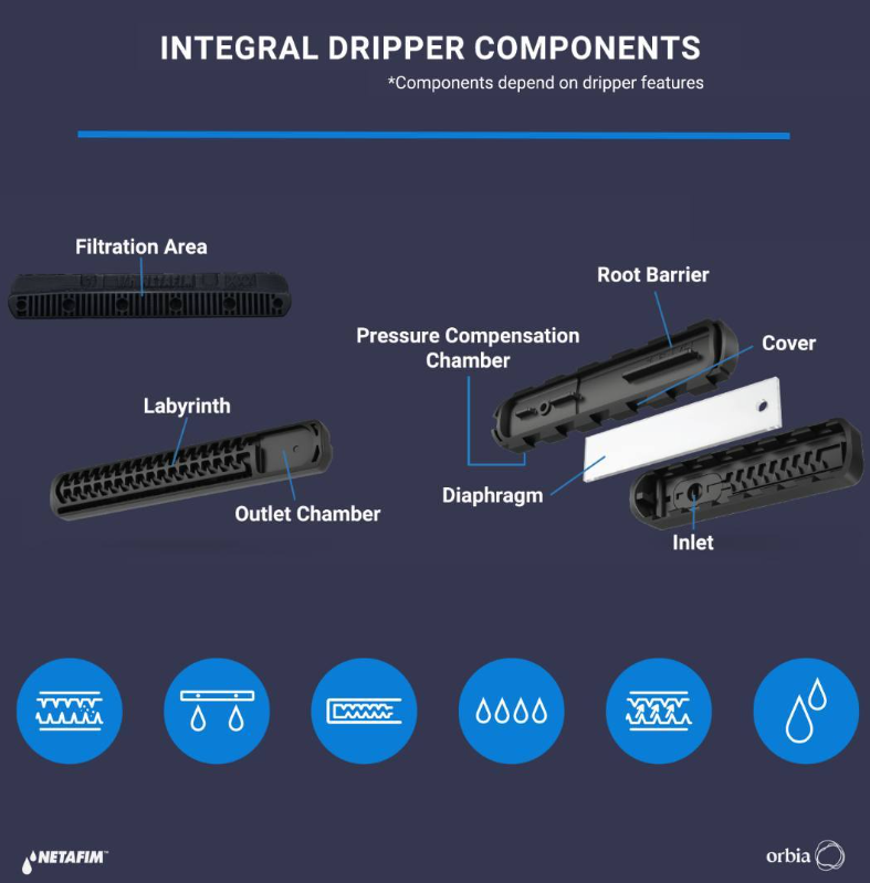 Know your dripper components. 💡🤔💧 Every dripper in every dripline, in every lateral, in every block, in every field or orchard, has the components to do the job at hand. Read about dripline selection: bit.ly/3Z4wTyK #growmorewithless #dripirrigation #netafimknowledge