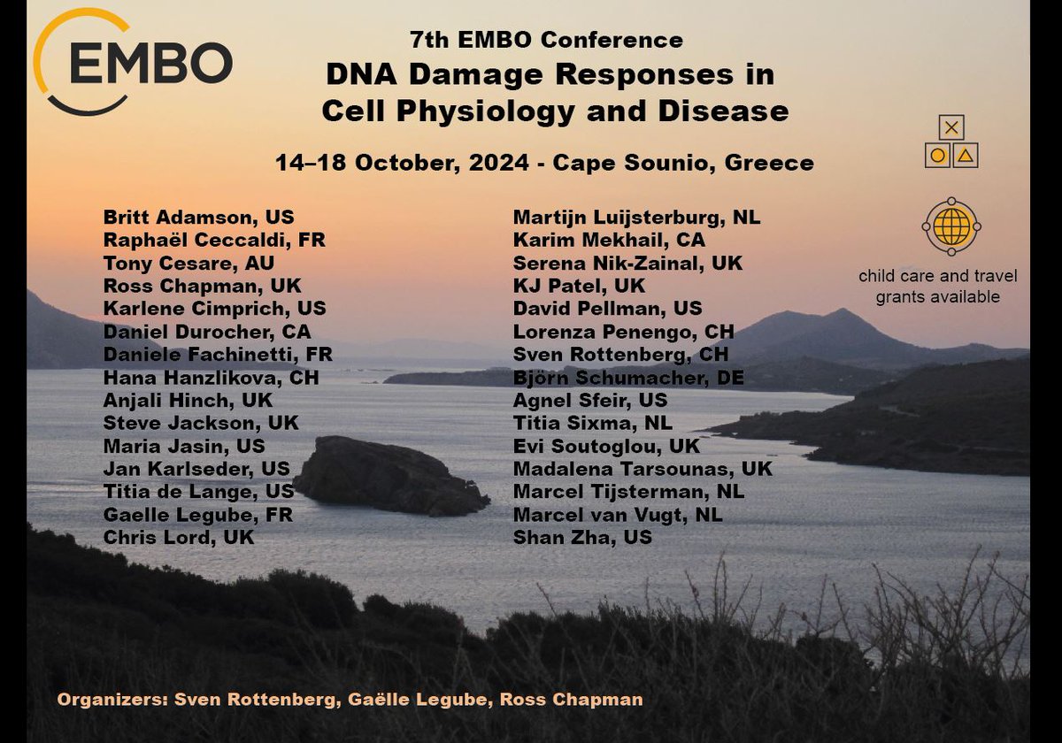 The Cape Sounio EMBO meeting on 'The DNA Damage Response in cell physiology and diseases' is now open for registration! 👇 Deadline May 17th! meetings.embo.org/event/24-dna-d…