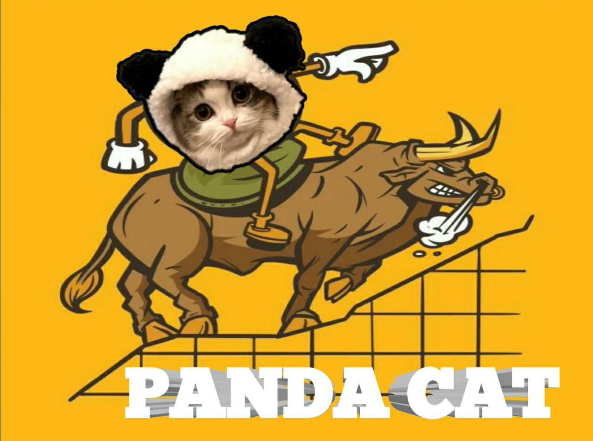 PandaCatSolana's tweet photo. @CryptoMrLi888 https://t.co/KVJtNuoiF0