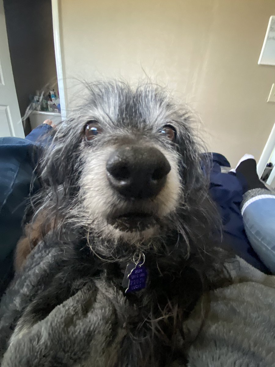 afflejack's tweet image. u got crumbs on ur phone?