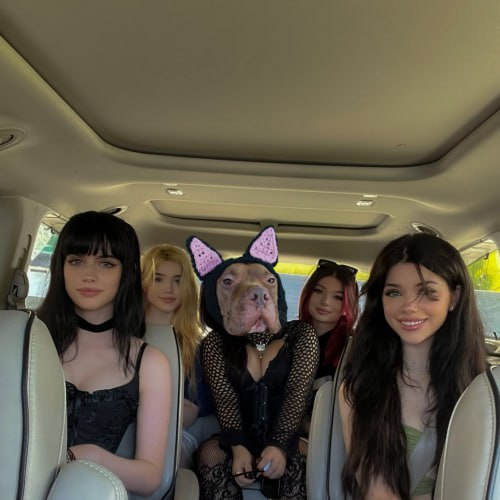 SecretlyACat0x's tweet photo. Me and the gals. Sofie is a fuggin bish tho for dying her hair blonde. https://t.co/TgO2GhIh3V