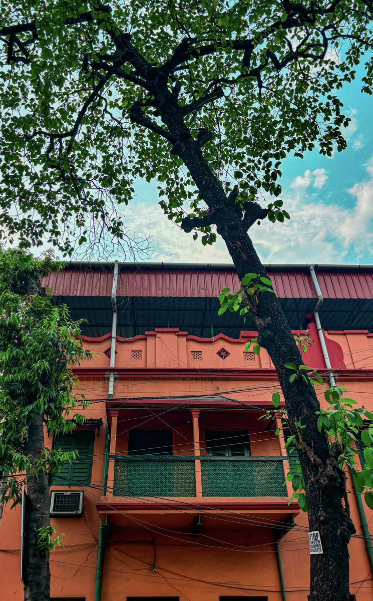 Most Calcutta summer days are very blue with blue clouds crowding a bright sky and twilight which falls in deep Prussian blue tones.
#Kolkata #NGTIndia #DelightingYouAlways #photograghy #PhotographyIsArt #photographylovers #PhotoMode #ThursdayThoughts #photooftheday