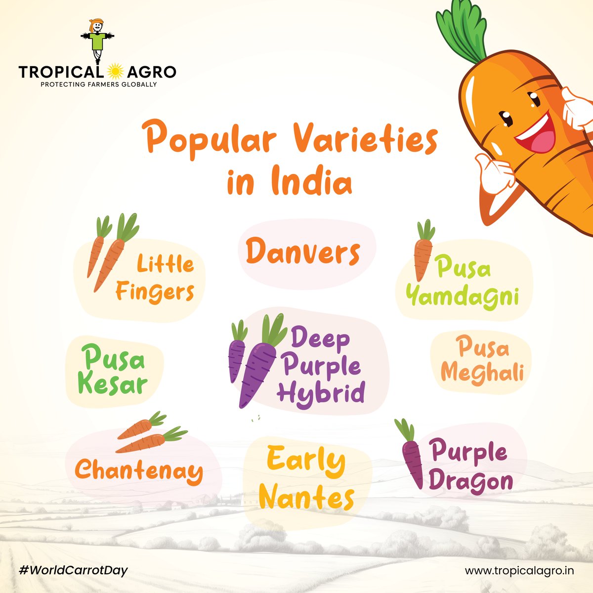 Did you know these facts about carrots ??🥕🥕

Like❤️ if you already knew about this !

#HappyInternationalCarrotDay
#WorldCarrotDay #Carrots #DidYouKnow #Facts #Vegetable #varietiesofcarrot #carrots
#internationalcarrotday🥕 #TropicalAgro