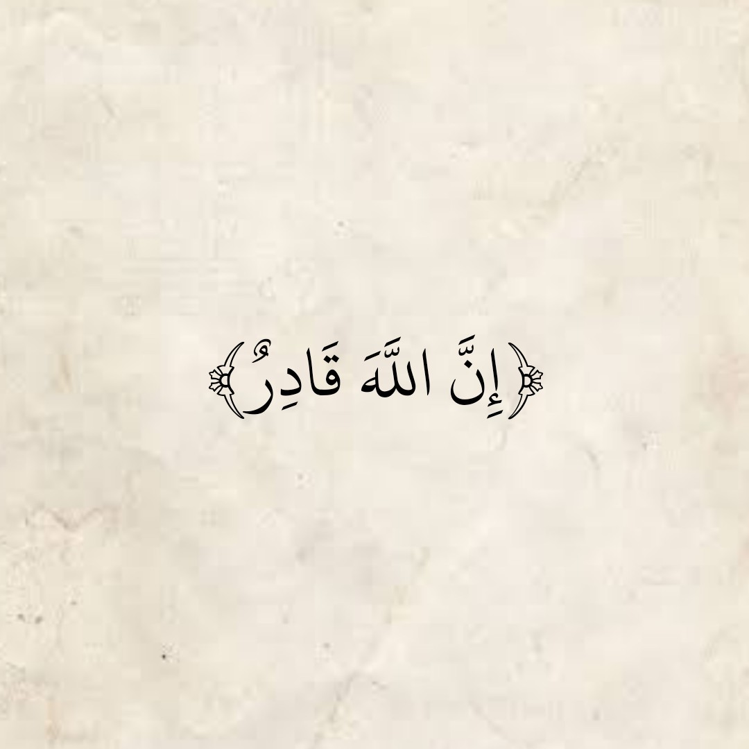 المُصْحَف tweet media