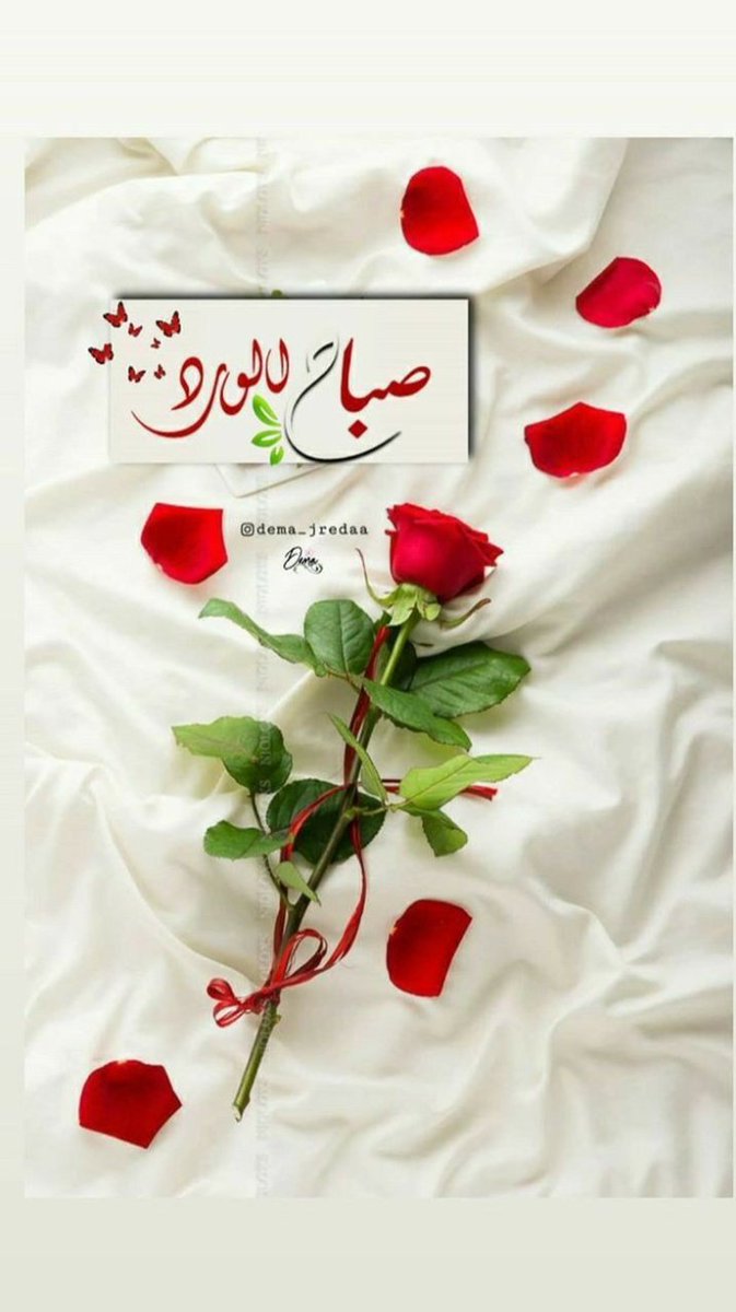 محمد ديب يعقوب tweet media